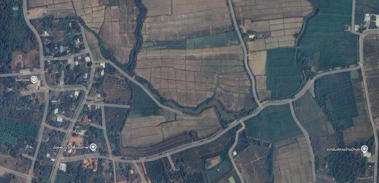 ขายที่ดิน 9 ไร่ 2 งาน 45.0 ตารางวา พิกัด ต.เจริญเมือง อ.พาน จ.เชียงราย