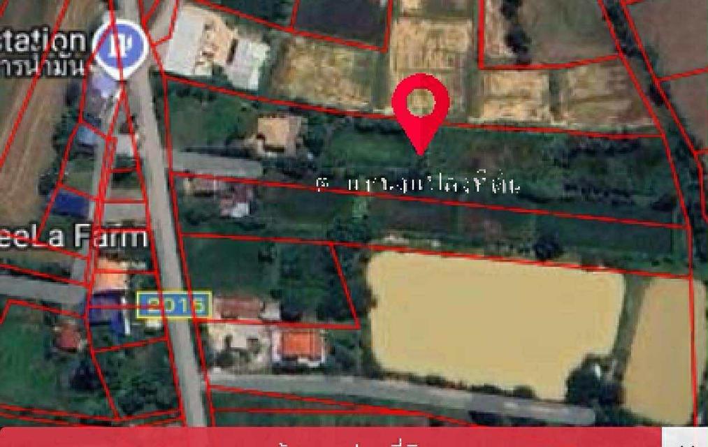 บ้านพร้อมที่ดิน 1