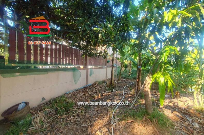 บ้านเดี่ยว ซอยเจ้าพระยา (ใกล้สถานีตำรวจประชาสำราญ) เนื้อที่ 50 ตรว. แขวงคลองสิบสอง เขตหนองจอก 14