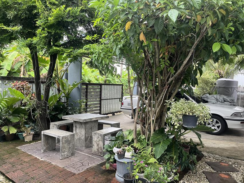 บ้านพร้อมที่ดิน เหมาะสำหรับครอบครัวใหญ่ 9