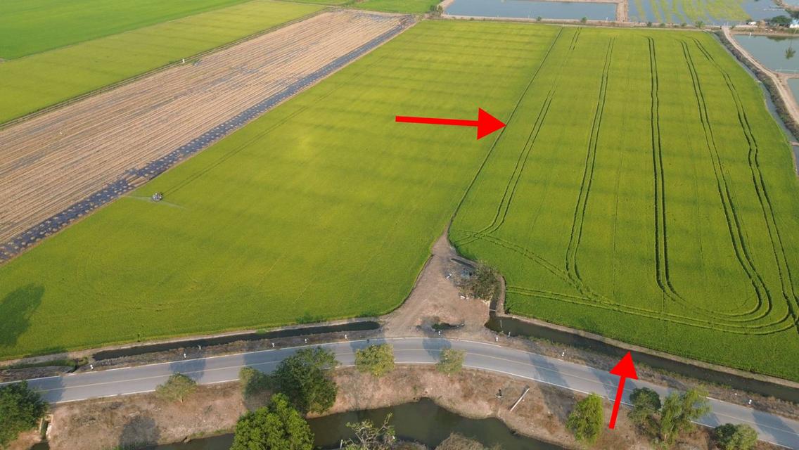 ที่ดิน เนื้อที่15ไร่60ตารางวา 2