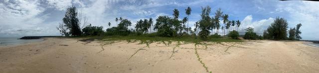 ที่ดินติดชายหาดสวยงาม อำเภอสิชล จังหวัดนครศรีธรรมราช ขนาด 5 ไร่ 266 ตารางวา ราคา ไร่ละ 7 ล้านบาท  ที่ดินผืนงามติดชายหาด  9