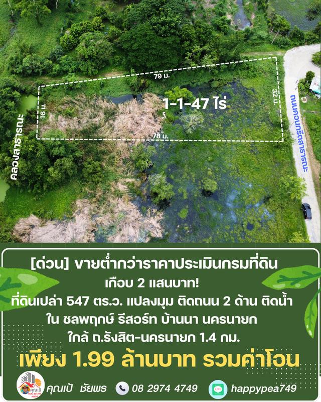 ขายที่ดิน 547 ตร.ว. บ้านนา นครนายก แปลงมุม ติดถนน ติดคลอง ต่ำกว่าราคาประเมิน ในชลพฤกษ์รีสอร์ท 6