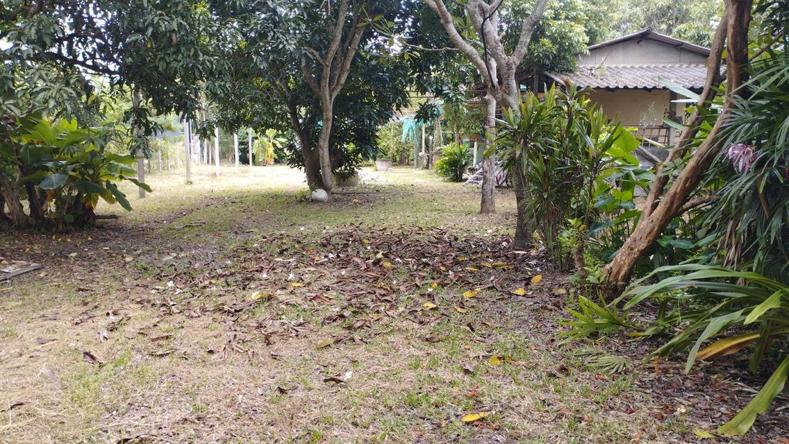 ที่ดินทำเลทอง ตำบลป่าไผ่ อำเภอสันทราย จังหวัดเชียงใหม่