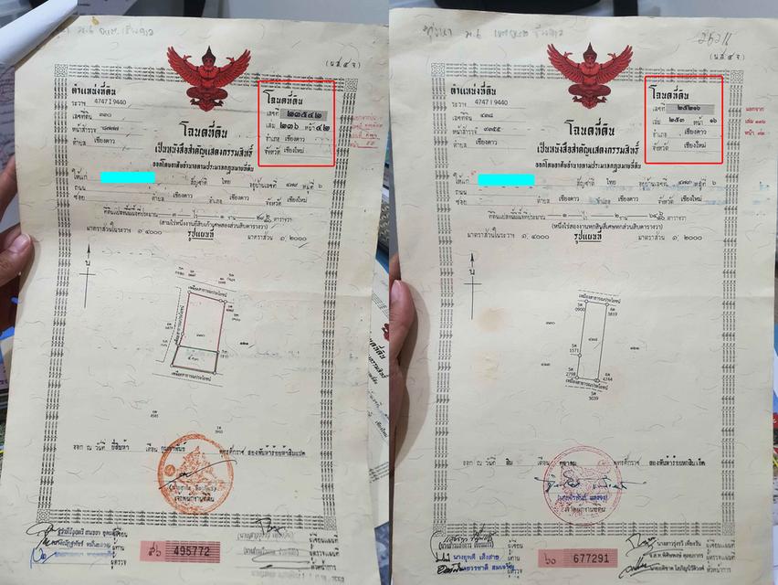 ที่ดิน อ.เชียงดาว จ.เชียงใหม่ วิวดอยหลวง 4 ไร่ 🔥 5 ล้าน 🔥 3