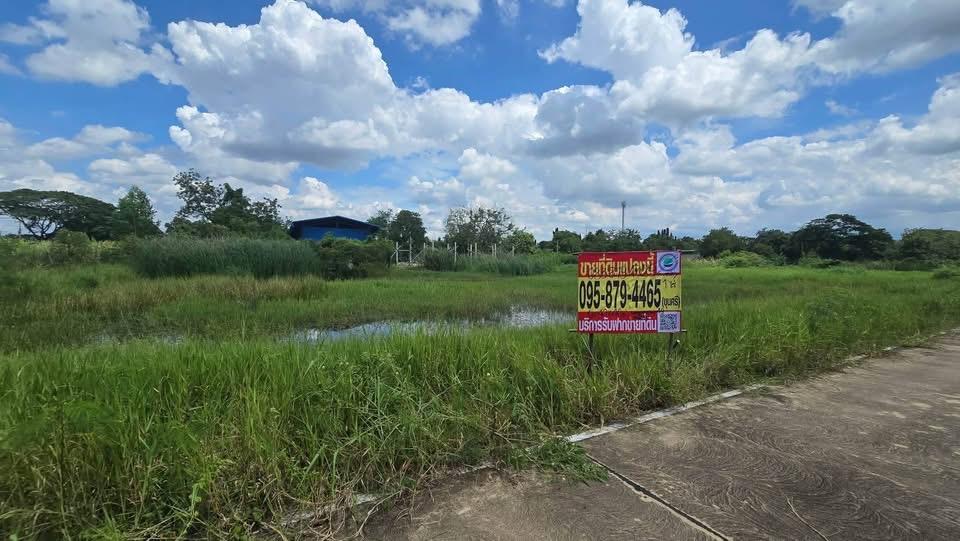 ขายด่วนที่ดิน 1 ไร่ ติดถนนคอนกรีต ซอย เคหะการเกษตร 49 บางบัวทอง นนทบุรี 2