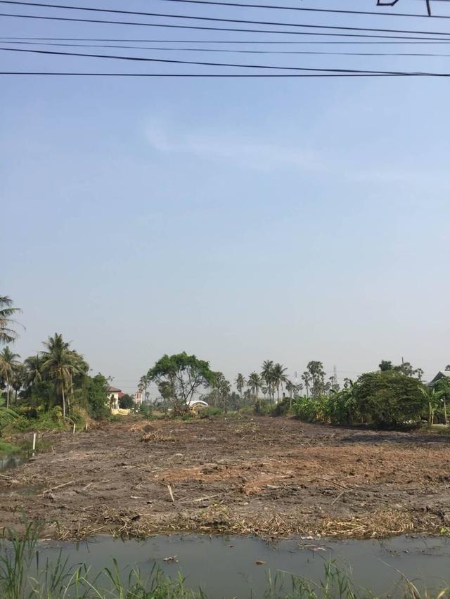 ที่ดิน 4 ไร่ 1 งาน ปทุมธานี บางคูวัด 2