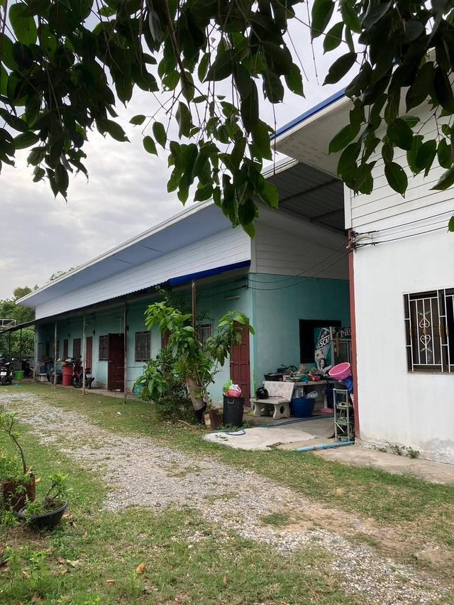 บ้านพร้อม1หลังพร้อมห้องเช่า6ห้องอำเภอเมืองนครราชสีมา  ใกล้ถนน​สุ​ระ​2​เพียง​30​เมตร​ ขนาดที่ดิน 202ตรว 4