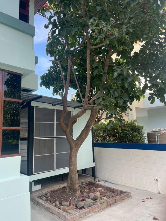 ขายบ้านหมู่บ้าน 180 บางปู บีชเฮาส์ 2 หลัง บ้านสวยมาก 7