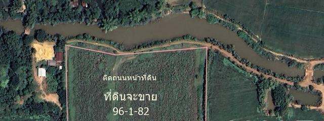 ขายที่ดิน 96-1-82 ไร่ ต.หนองปลาไหล อ.วังทรายพูน พิจิตร ห่างถนนใหญ่ 2 กม ไร่ละ 8 หมื่น 4