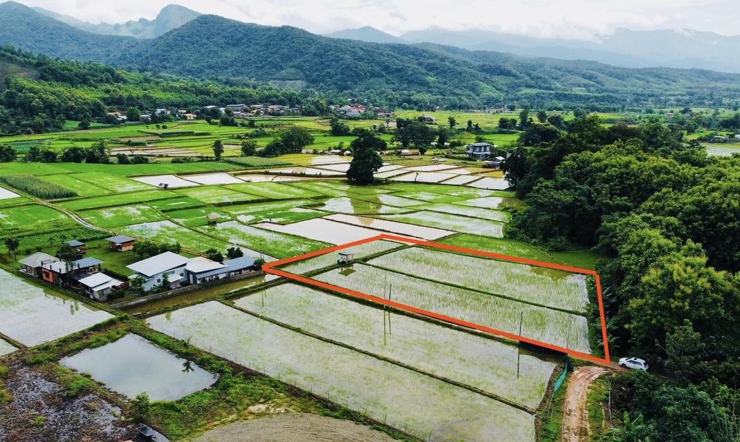 ขายที่ดิน ปัว น่าน 707 ตร.ว. ราคา 1.9 ล้าน 2