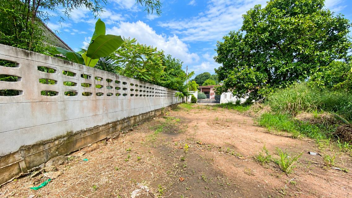 ขายที่ดินถมแล้ว 166 ตร.ว. ทับมา ระยอง ใกล้โกลบอลเฮ้าส์ ไฟฟ้าและประปาผ่านหน้าแปลง 10