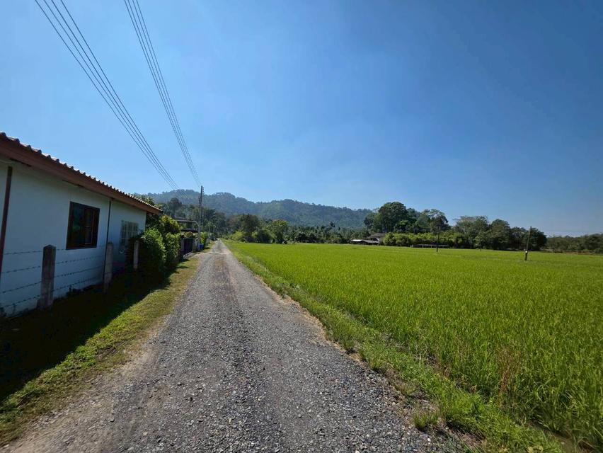 ขายที่ดินเปล่า ใกล้อ่างเก็บน้ําห้วยปรือ เขาพระ นครนายก 3