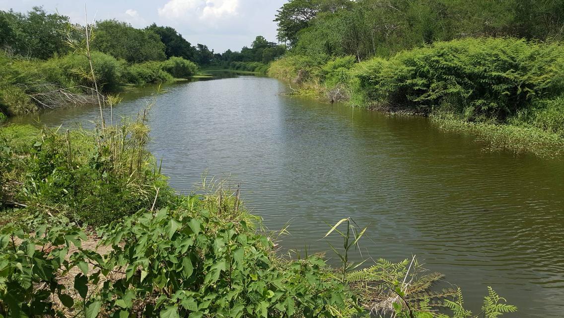 ขายที่ดินติดซุปเปอร์ กรุงเทพ-ลำปาง-เชียงใหม่-เชียงราย 1-3-47 ไร่ หน้า 95 เมตร ขึ้นเหนือสายเดียว รู้เขารู้เรา สร้างธุรกิจ