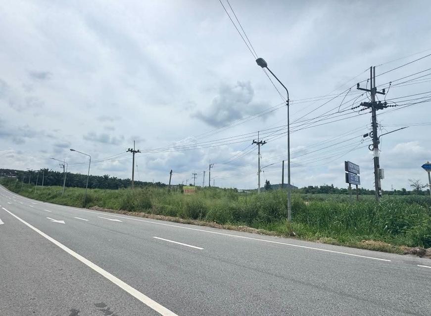 ที่ดิน ตำบลตาสิทธิ์ อำเภอปลวกแดง จังหวัดระยอง 2