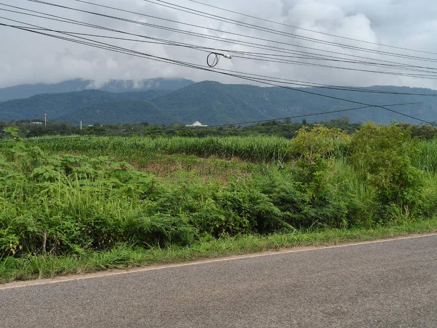 ขายที่ดินโป่งตาลอง เขาใหญ่ ติดถนนใหญ่เส้นทองอุไร 2213 หนองขี้ตุ่น ที่ดิน 18.5-39 ไร่ วิวเขาใหญ่สวยชัดมาก ใกล้ทอสคาน่า Toscana เส้น 3052 แปลงนี้สวยมาก 4