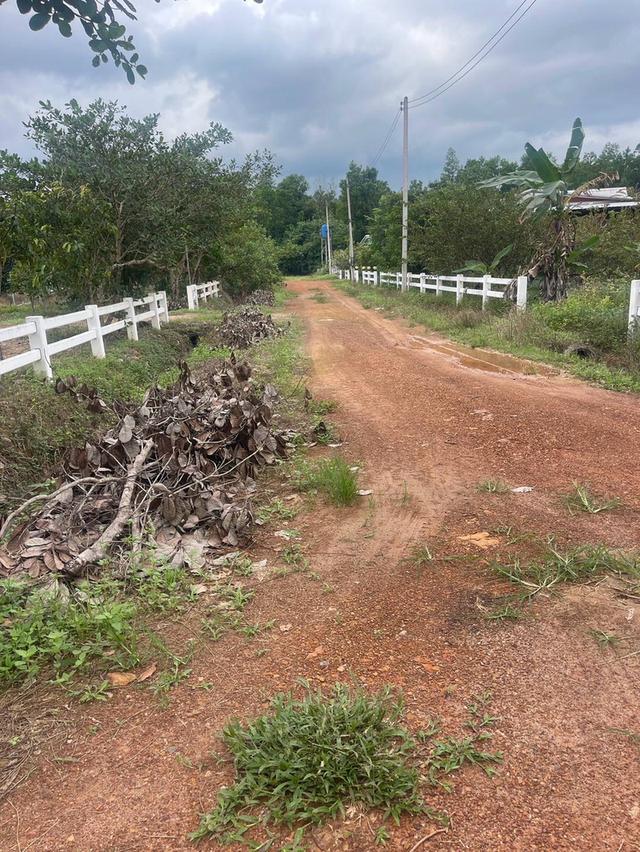 ขายที่ดินโซนศาลจังหวัดนาทวี ที่อยู่ ต.คลองทราย อ.นาทวี จ.สงขลา ที่ดินมี 2 แปลง ใกล้กัน แปลงละ 2 ห้อง ราคา ห้องละ 200000 บาท 6