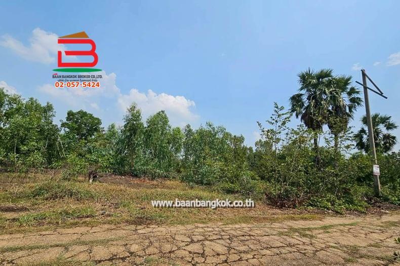 ที่ดินเปล่า หมู่บ้าน อริสรา ลาดบัวหลวง เนื้อที่ 1-0-35 ไร่ ถนนบางบัวทอง-สุพรรณบุรี อ.ลาดบัวหลวง จ.อยุธยา 2