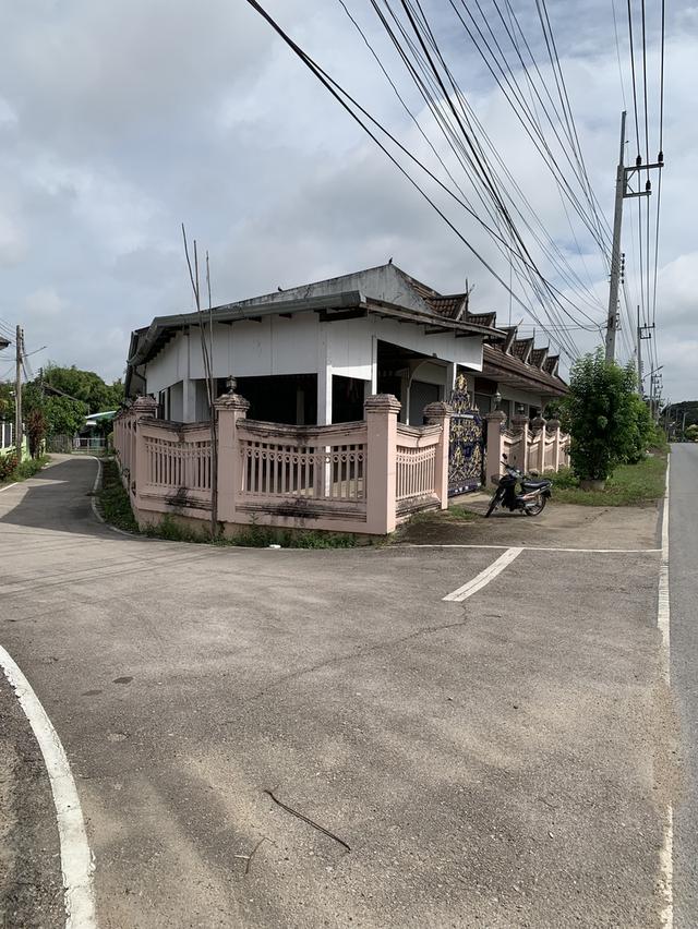 ขายที่ดินพร้อมโกดัง ด้านหน้าติดถนน ม.2 ต.ป่าซาง ออ.ป่าซาง จ.ลำพูน 8