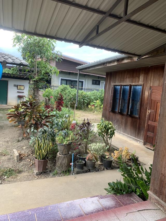 บ้านพร้อมที่ดินในตัวเมืองเชียงดาว 5