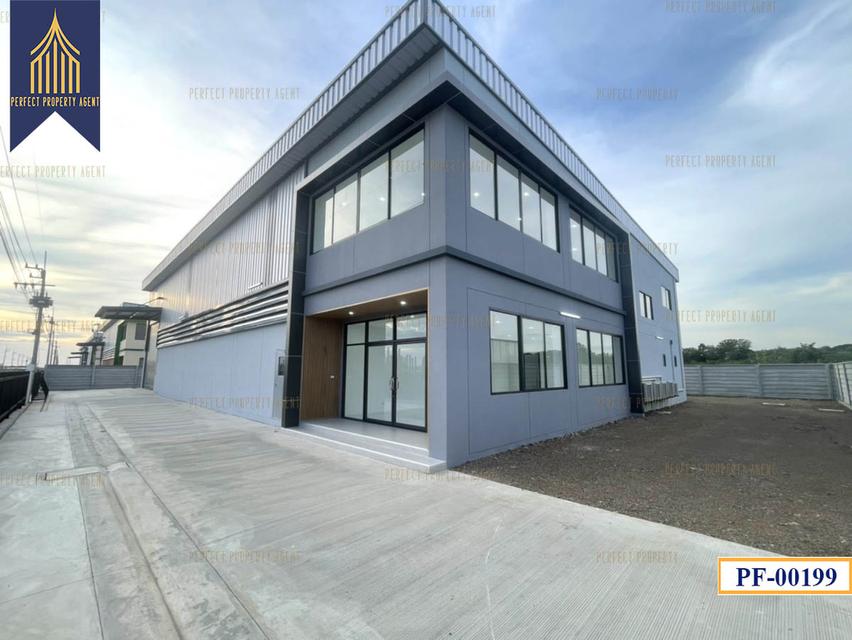 New Factory for sale สีม่วงเข้ม หลายขนาด ลำลูกกา ปทุมธานี 4