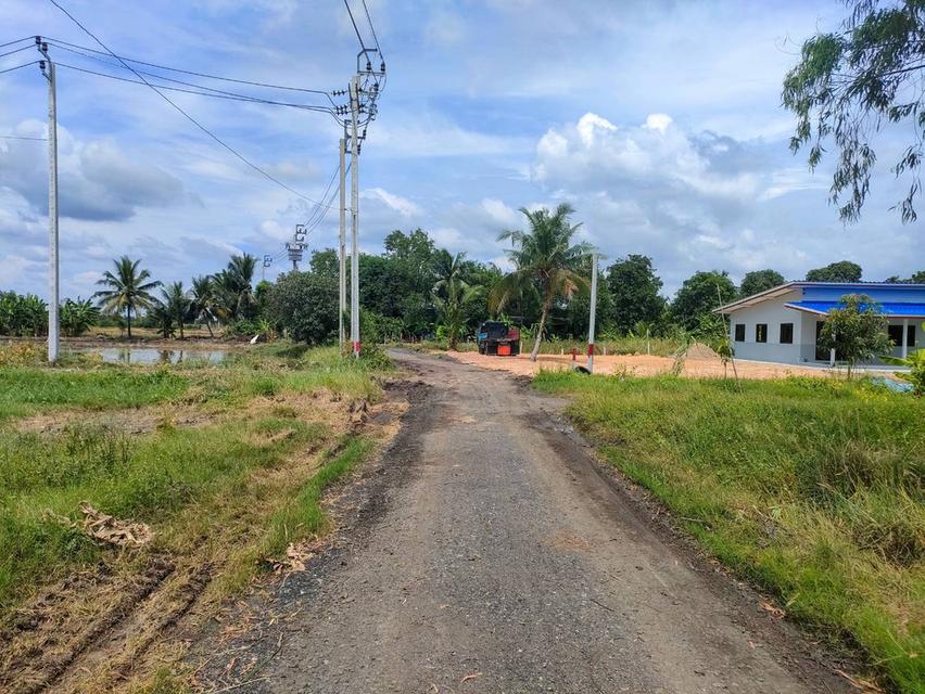 ขายที่ดินเปล่าในถนนร่วมพัฒนา เขตหนองจอก กรุงเทพมหานคร 14