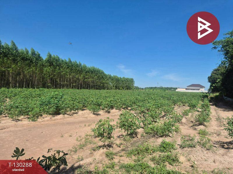 ขายที่ดิน ( แบ่งขาย 2 แปลง ) เนื้อที่ 6 ไร่ 1 งาน 42.5 ตารางวา อำเภอพนัสนิคม จังหวัดชลบุรี 1