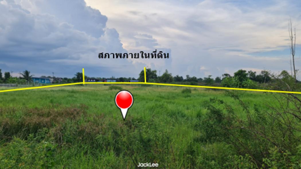 ขาย ที่ดิน ติดถนน 4 เลน ถนนสายองครักษ์-บ้านนา ทช.นย 2024 เนื้อที่ 5 ไร่ ย่านชุมชนบ้านองค์พาต ฟรีค่าโอน พร้อมโอน 6