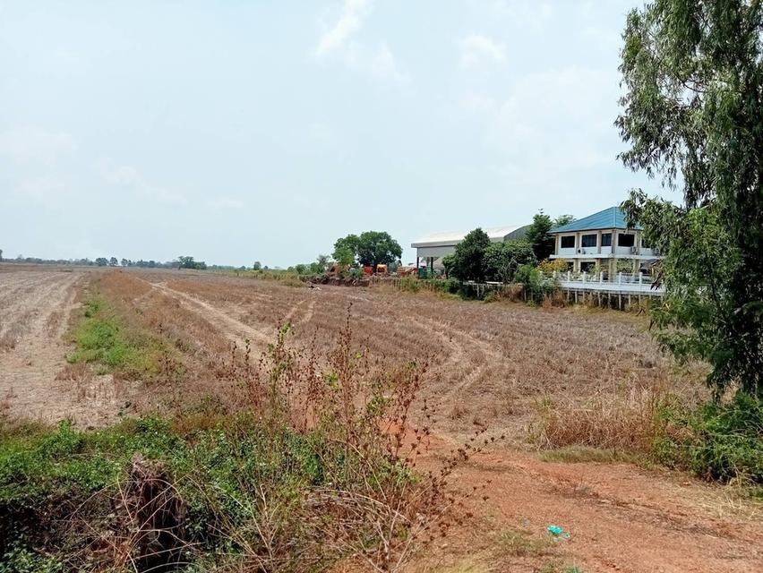 ขายที่ดินหลุดจำนอง ทำเลทอง ถูกสุดในเส้นนี้ ปราจีนบุรี 4