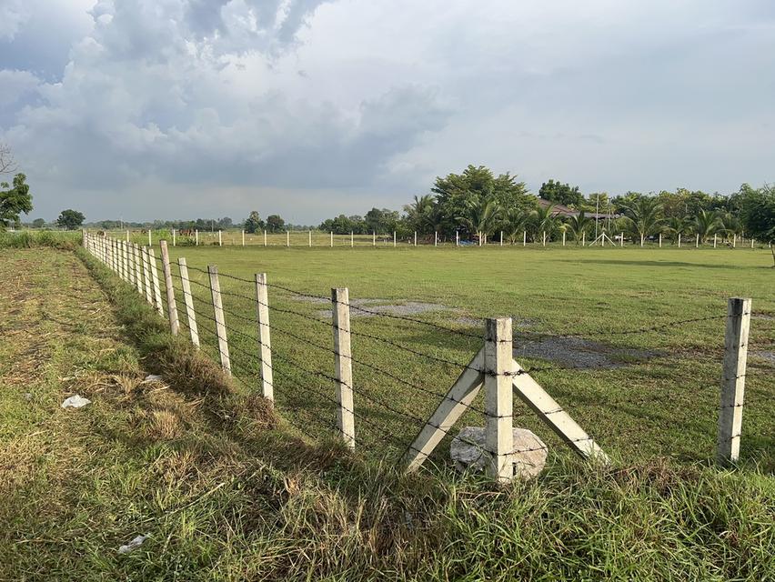 ขายที่ดิน 2 ไร่ 2งาน ตำบล พุกร่าง อำเภอพระพุทธบาท สระบุรี 3