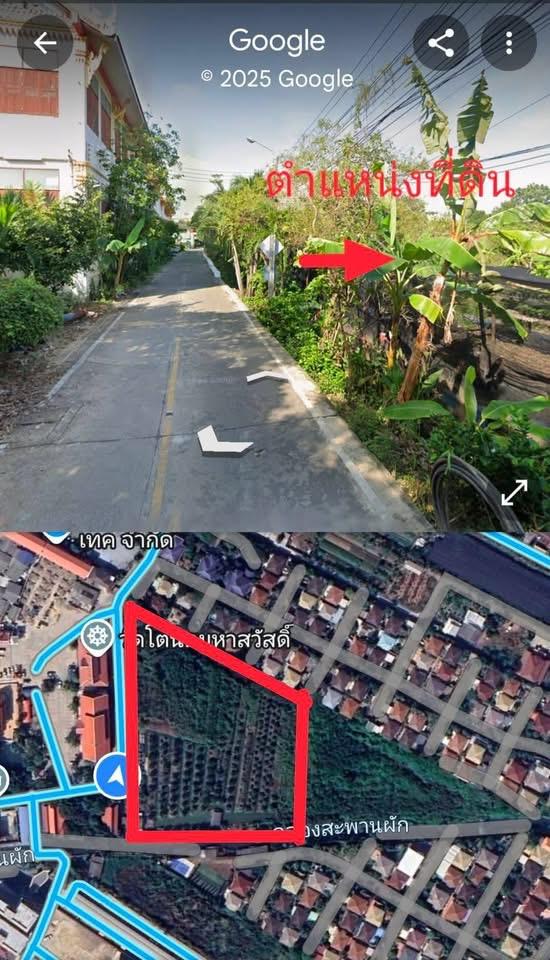 ที่ดิน 10 ไร่ 5