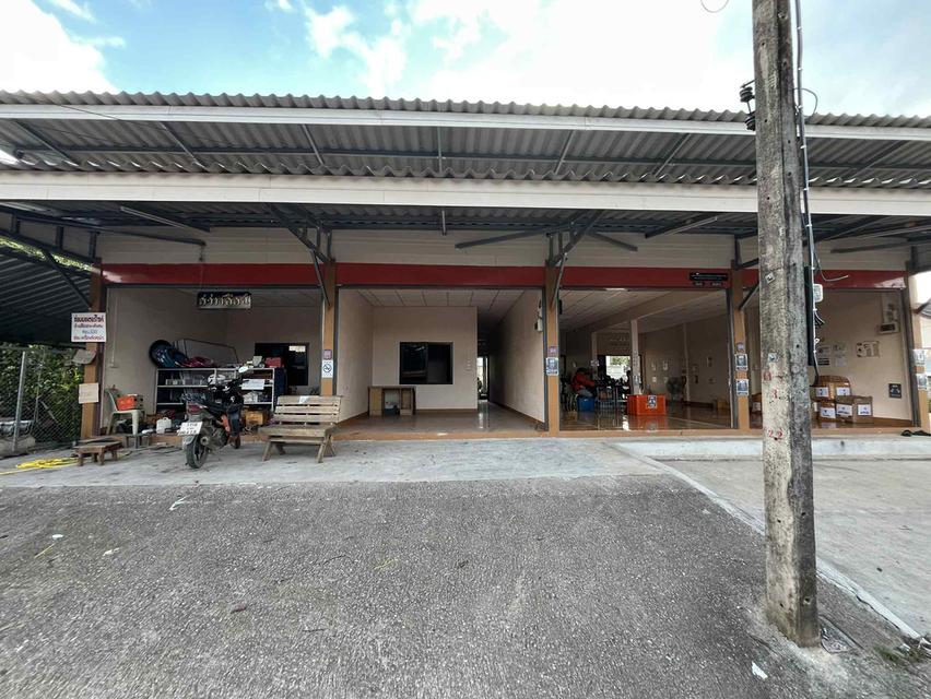 อสังหาริมทรัพย์ ที่ดิน ตึกพานิชย์ 2