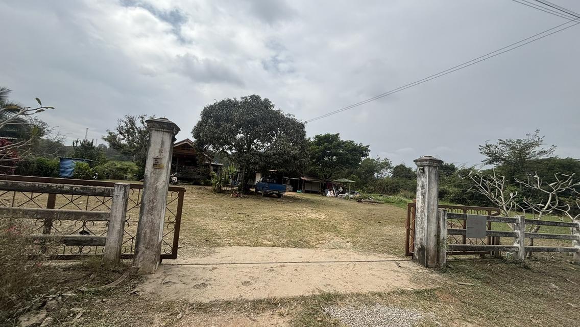 บ้านพร้อมที่ดิน คลองสอง วังน้ำเขียว 10