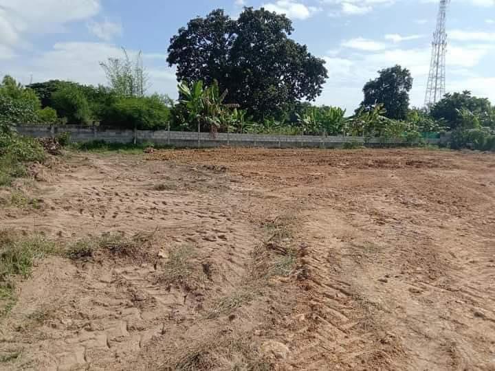 ขายที่ดินบางละมุง พัทยาถมแล้ว 200 ตรว. ซอยหลังวัดห้วยใหญ่ ใกล้ถนนสุขุมวิท3-6กม. จ.ชลบุรี