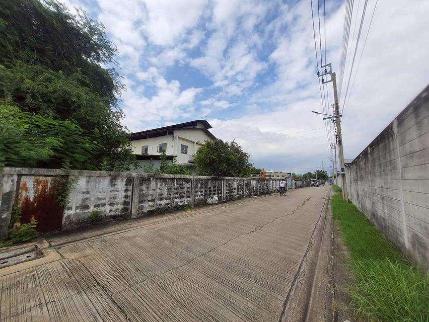 ขายถูกมากที่ดินหนองแขม 3 ไร่ 3 งาน 51 ตรว ติดถนนคอนกรีตสาธารณะ เลียบคลองภาษีเจริญฝั่งเหนือ 10 กทม. 5