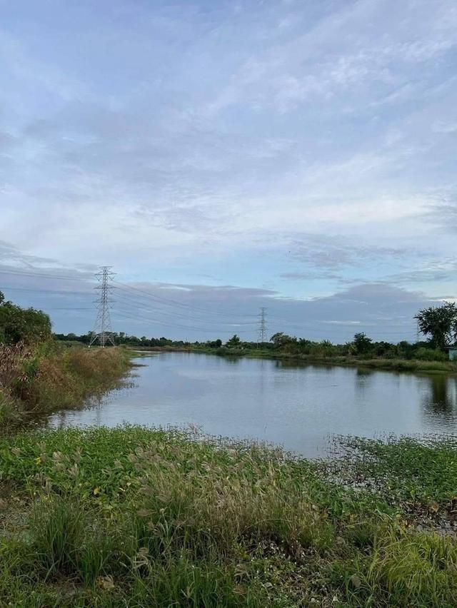 บ้านพร้อมที่ดินและบ่อปลา 2