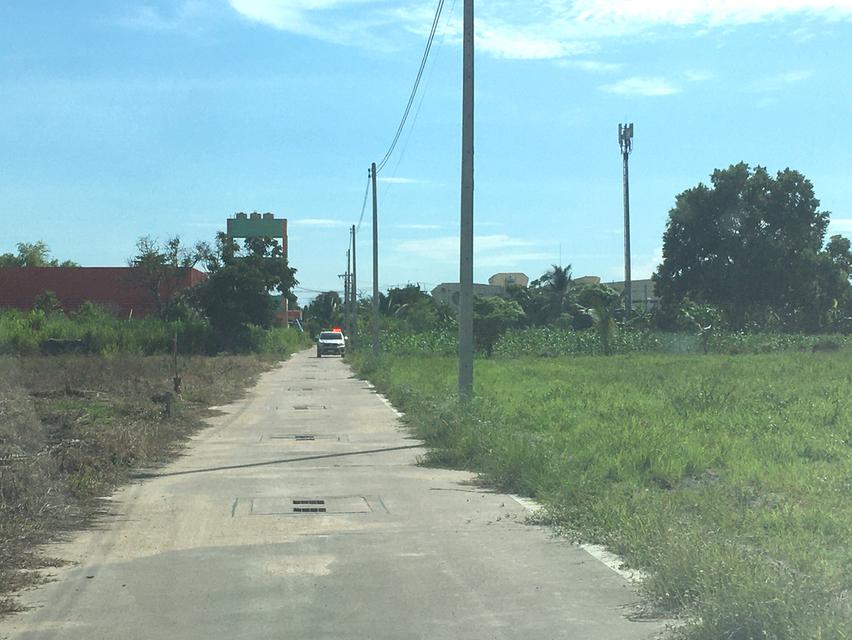 ขายที่ดินวังค้อเนื้อที่ 10ไร่ ตำบลบึง ศรีราชา ชลบุรี ใกล้นิคมปิ่นทอง ใกล้ตลาดบึงวรกิจ ที่ดินเหมาะพัฒนาอสังหาริมทรัพย์ หรืออุตสาหกรรม 4