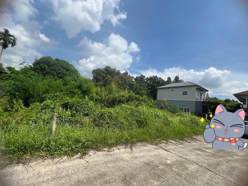 ที่ดิน 42ตารางวา คอหงส์ หาดใหญ่ รูปย่อยที่ 1