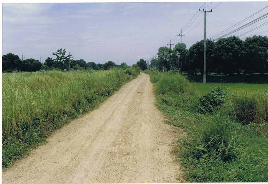 ที่ดิน อ.เมือง จ.สิงห์บุรี เนื้อที่ 4 ไร่ เหมาะสำหรับทำปั้มน้ำมัน, จุดชาร์จรถยนต์ไฟฟ้า, โกดังสินค้า 3