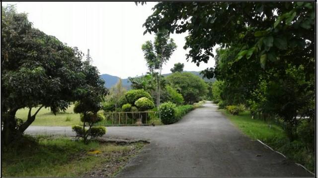 ขายที่ดิน115ไร่ 55ลบ. ฟรีโอน พร้อมบ้านยุโรป3หลัง สาธารณูปโภคครบ เหมาะทำรีสอร์ท คาเฟ่ ที่เที่ยว เกษตร ใกล้เทศบาล ต.ทากาศ  1