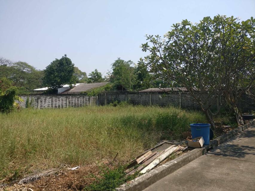 รูป ขายที่ดินเปล่าสำหรับปลูกบ้าน 78 ตารางวา แปลงมุม หมู่บ้านปัญญาเลคโฮม คลองสามวา กทม. 3