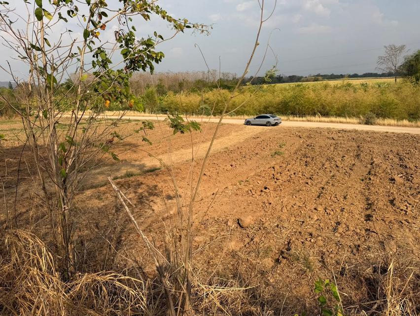 ขายที่ดินติดลำธารที่เพชรบูรณ์ 6