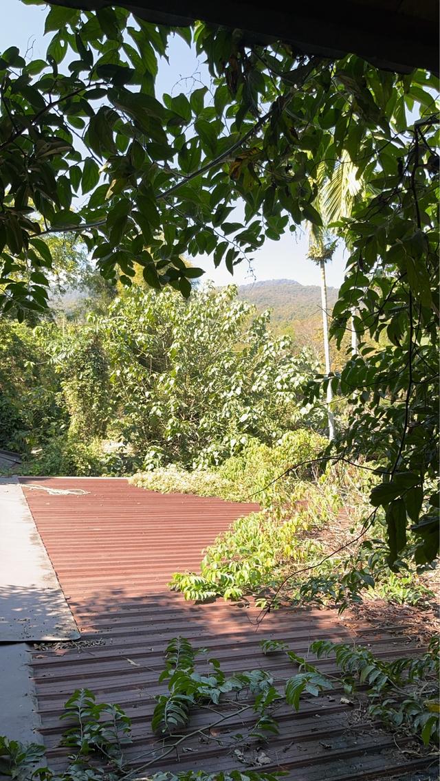 ที่ดินพร้อมบ้าน จำนวน 1 ไร่ มี 2 โฉนด 13