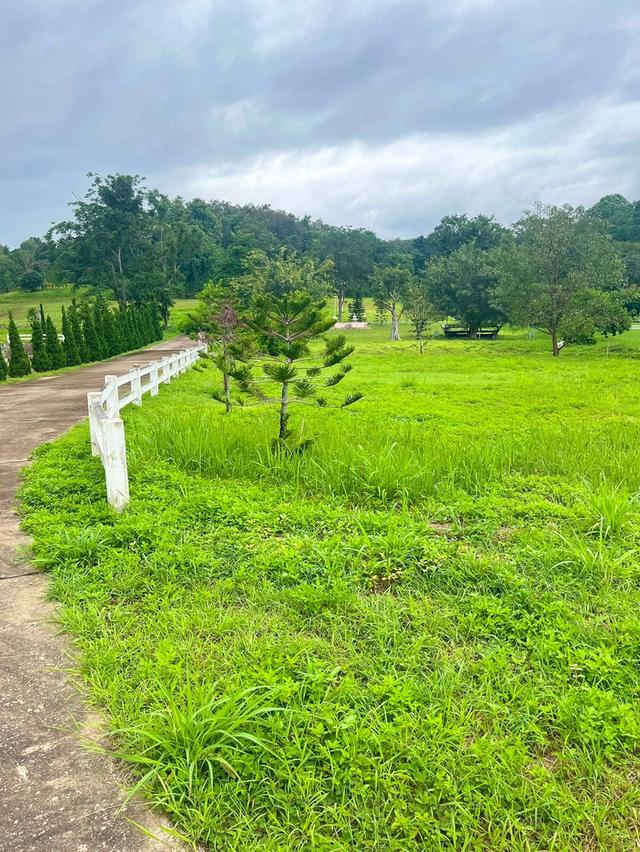 📣🏡 ที่ดินวิวดอย #บ้านปง อ.หางดง เชียงใหม่ 1