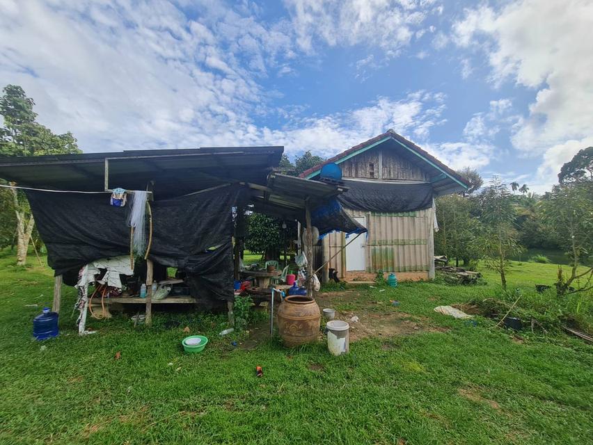 ขายบ้านพร้อมที่ดินสวนทุเรียน+มังคุด เนื้อที่ 22 ไร่ 1 งาน 51 ตร.วา ต.เขาวัว อ. ท่าใหม่ จ.จันทบุรี 6