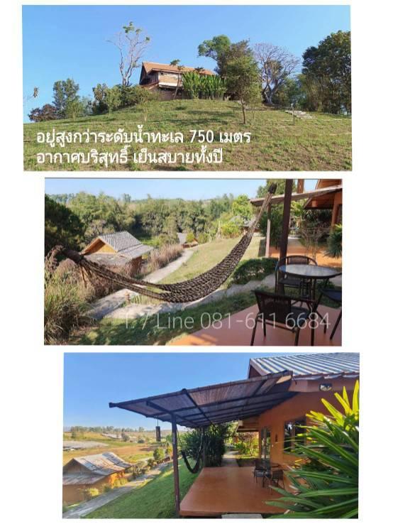 ขายที่ดิน เขาค้อ จ.เพชรบูรณ์ 27 ไร่  โฉนดครุฑแดง 4