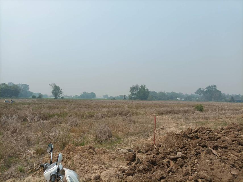 ขายที่ดิน 9,900บาท/ตร.ว. ต.สันปูเลย อ.ดอยสะเก็ด จ.เชียงใหม่ 7