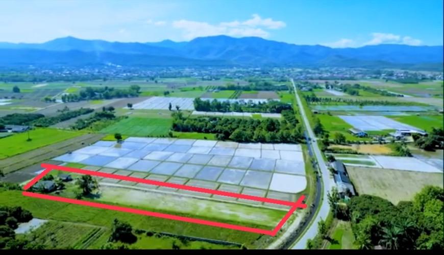 ขายที่ดินเปล่า พื้นที่สีเขียว แนวสนามบินเชียงใหม่แห่งใหม่ 1