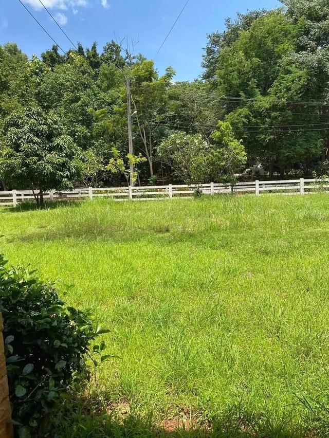 ขายที่ดินพร้อมบ้านพัก ตำบลหมูสี ปากช่อง โคราช ที่ดินพร้อมบ้าน 300ตรว. ใกล้ถนนหลัก ใกล้ทอสคาน่า 2