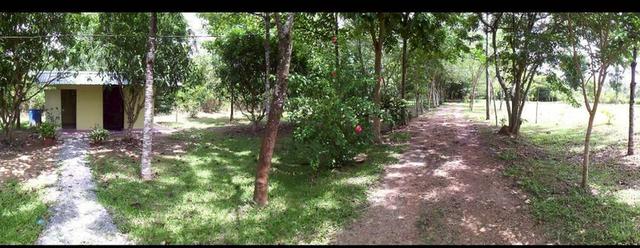 ที่ดินสวยราคาถูก เขาฉกรรจ์ สระแก้ว 5